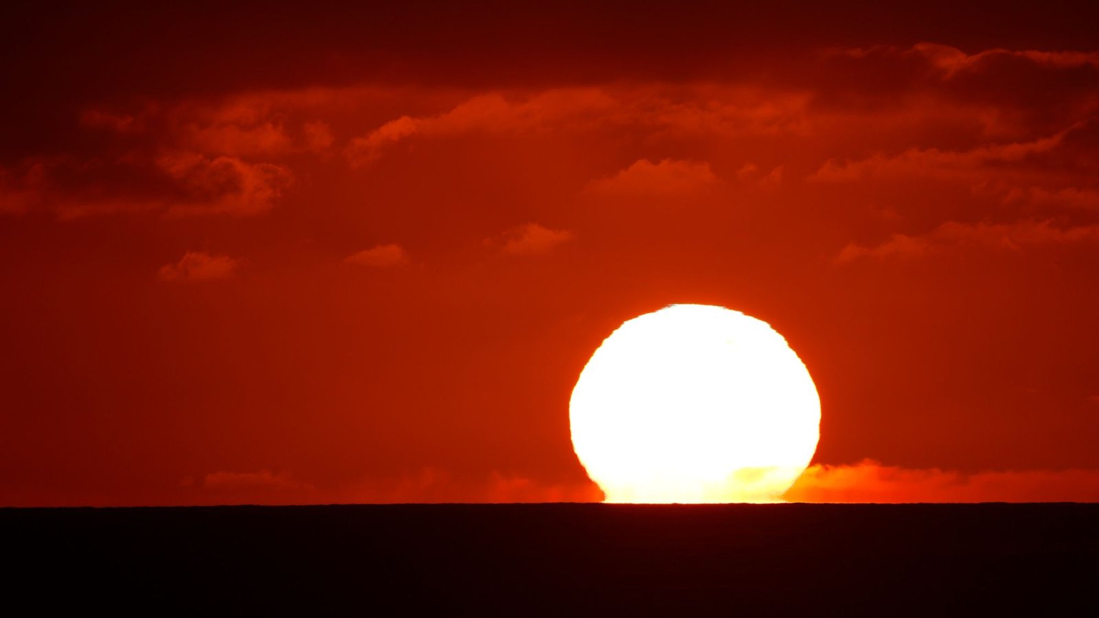World’s oceans hit highest temperature on record