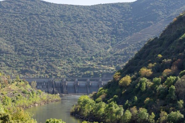 Romania scraps environmental requirements for hydropower as lawmakers override President Dan's veto