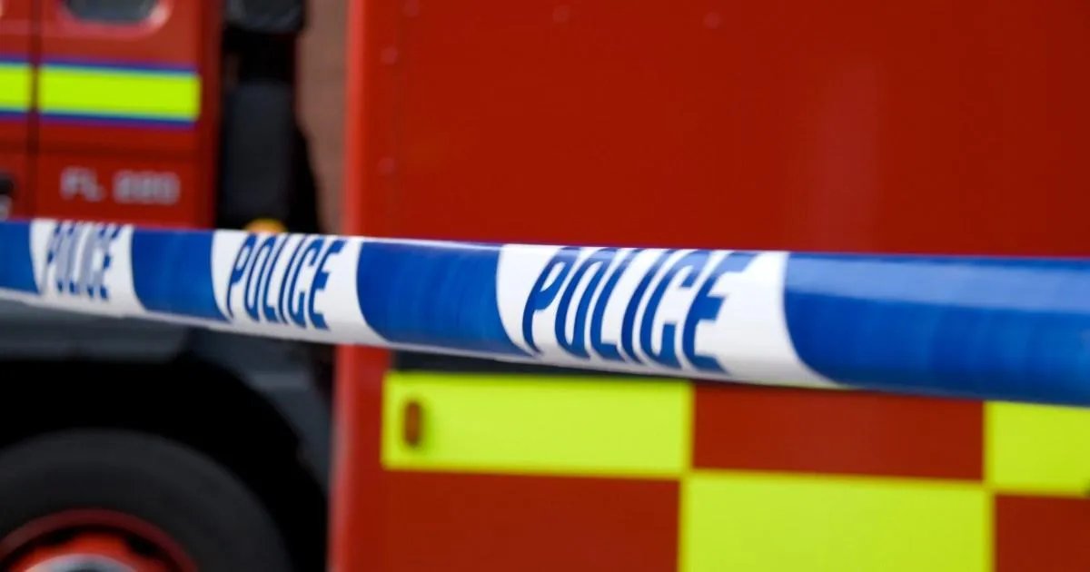 Murder investigation launched after woman dies in Hounslow house fire | News UK