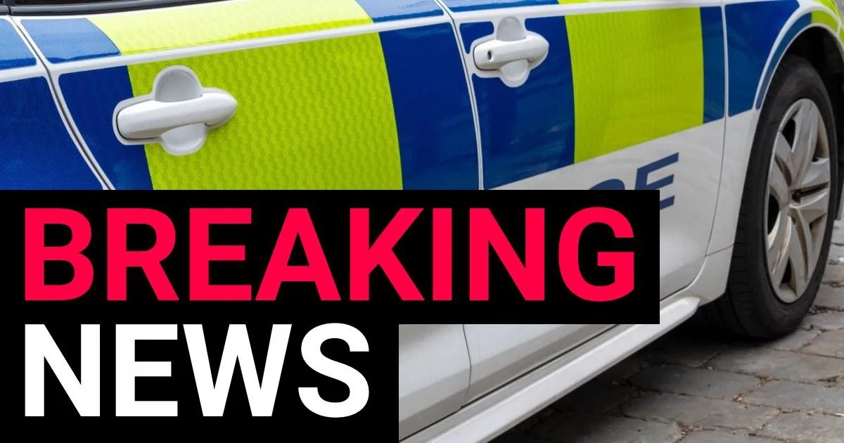 Woman arrested on suspicion of murder after woman in her 90s dies in fire | News UK