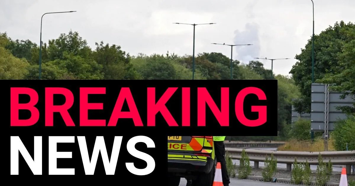 'Multiple fatalities' after crash involving police car with major road closed | News UK