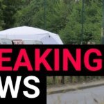 Seven more arrested in the wake of A66 crash, bringing total to 24 | News UK