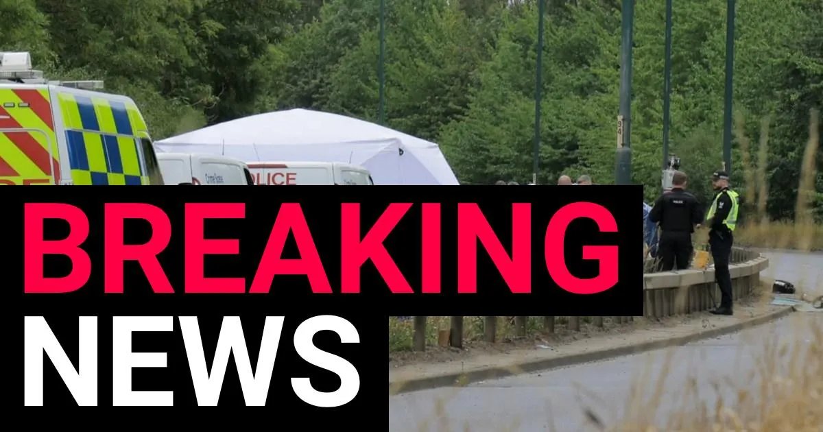 Seven more arrested in the wake of A66 crash, bringing total to 24 | News UK