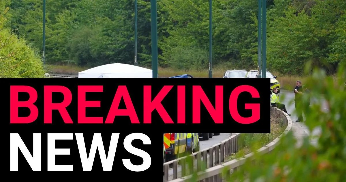 Five new arrests over A66 crash which killed two police officers and five others | News UK