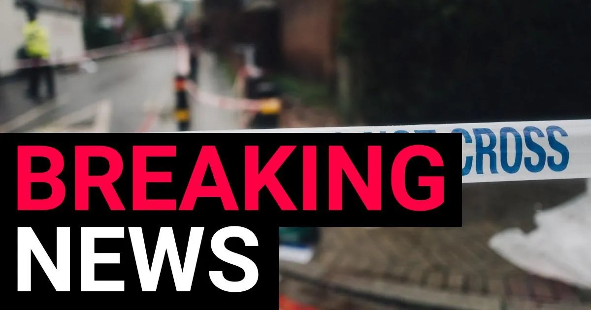 Boy, 4, riding on back of off-road bike killed in crash with car | News UK