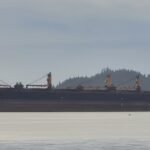 Cargo ship sinks off India with 22 missing