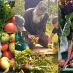 Lottery funding boost for Thriving Communities programme