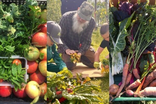 Lottery funding boost for Thriving Communities programme