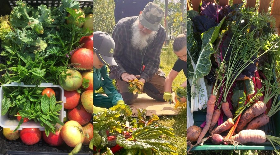 Lottery funding boost for Thriving Communities programme