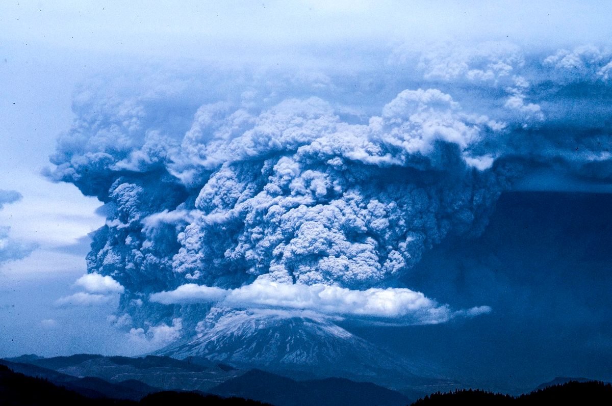 Mount St. Helens erupted in 1980, then a team of gophers were helicoptered in to bring it back to life
