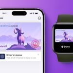 Apple Wallet Driver's License Feature Just Launched in Virginia