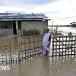 Assam: How a 97-year-old escaped deadly Indian floods on a banana raft