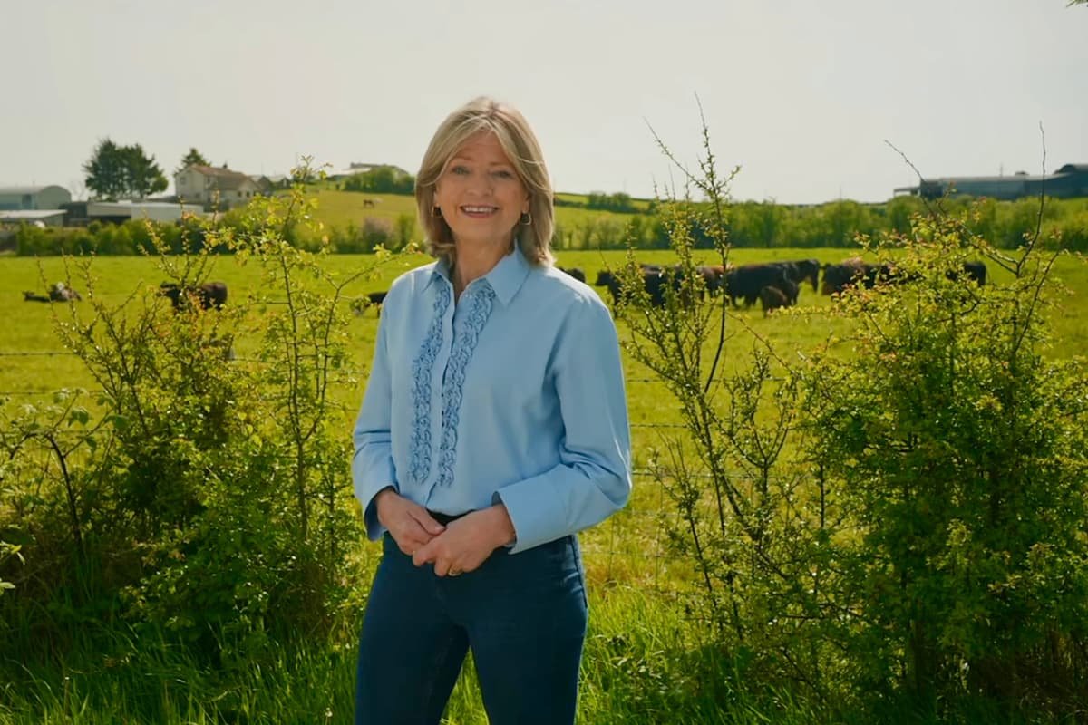 New Chair of the Assembly's Agriculture, Environment and Rural Affairs Committee