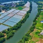 China revises, repeals administrative regulations for landmark environmental code