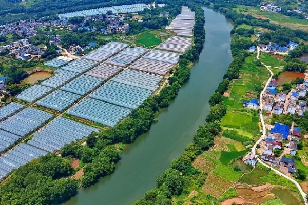 China revises, repeals administrative regulations for landmark environmental code