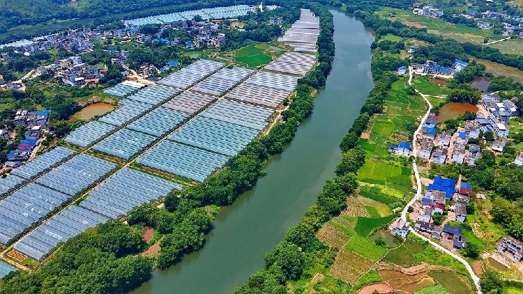 China revises, repeals administrative regulations for landmark environmental code