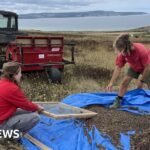 Cornwall's environmental champions make their communities greener