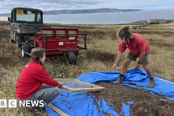 Cornwall's environmental champions make their communities greener
