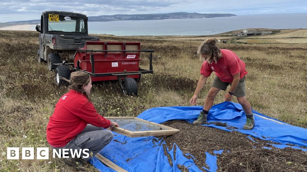 Cornwall's environmental champions make their communities greener