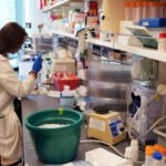 Northwestern Medicine Study Reveals Hidden Immune Environment in Myasthenia Gravis Patients