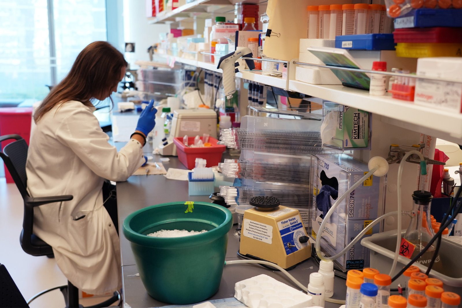 Northwestern Medicine Study Reveals Hidden Immune Environment in Myasthenia Gravis Patients