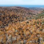 Biocultural families: Study centers Indigenous priorities in connections to environment