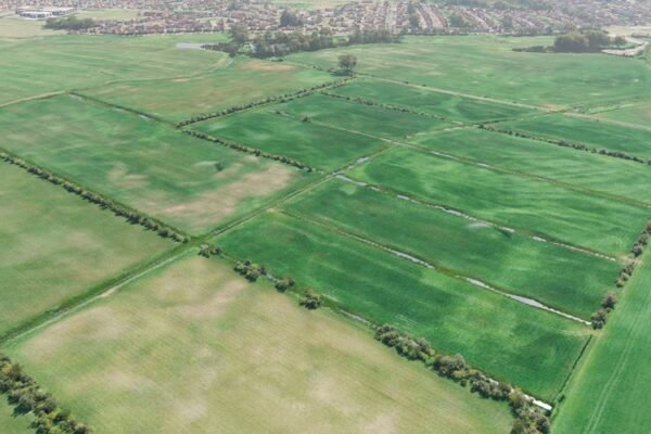 Work begins at Hoylake Carrs wetlands