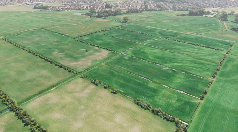 Work begins at Hoylake Carrs wetlands