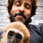 Vikram's viral video with lar gibbon sparks India wildlife investigation