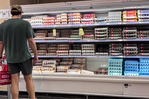 Egg recall over salmonella risk upgraded to Class I with dozens of cases