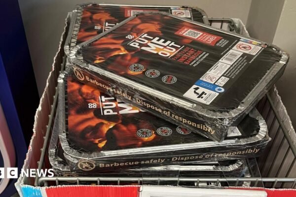 Temporary ban on sale of disposable BBQs over wildfire risk