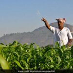 JPMorgan Warns Of Food, Fertiliser Crisis In 2027. What It Means For India