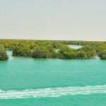 Iran oil spill: the war is leaving environmental scars that ceasefires cannot heal