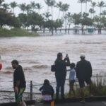 As Tropical Storm Lala approaches Hawaii, here's how businesses can prepare