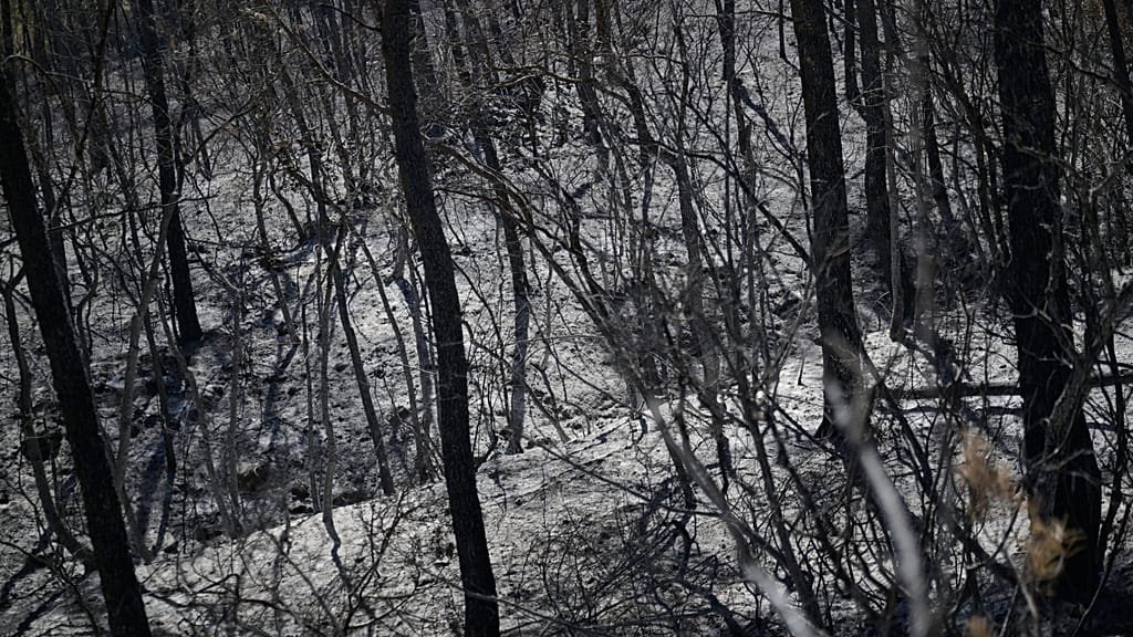 Is France's political class out of touch on climate change? Experts slam presidential candidates