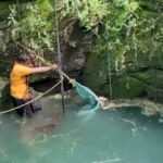 Wild fox rescued after falling into open well in India