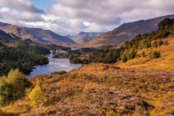 Just three per cent of Scotland’s most fragile natural environments are monitored by the agency charged with protecting them