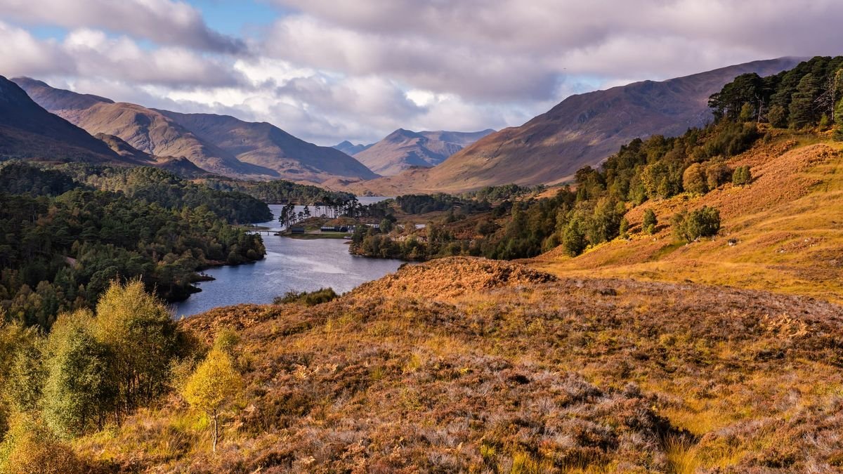 Just three per cent of Scotland’s most fragile natural environments are monitored by the agency charged with protecting them