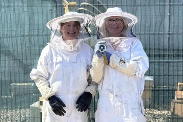The bees win again! Frasers Plus Luton scoops Commonwealth Environment and CSR Award