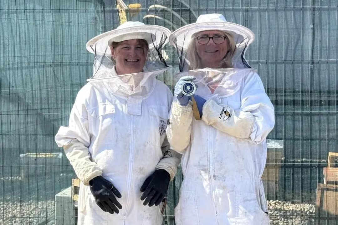 The bees win again! Frasers Plus Luton scoops Commonwealth Environment and CSR Award