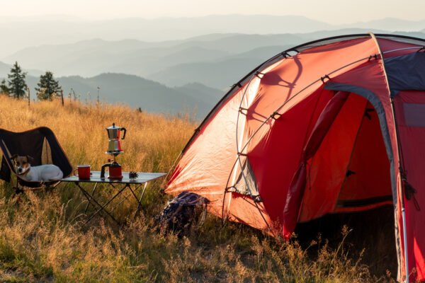 8 Foldable Finds From Home Depot That Are Great For Camping Trips