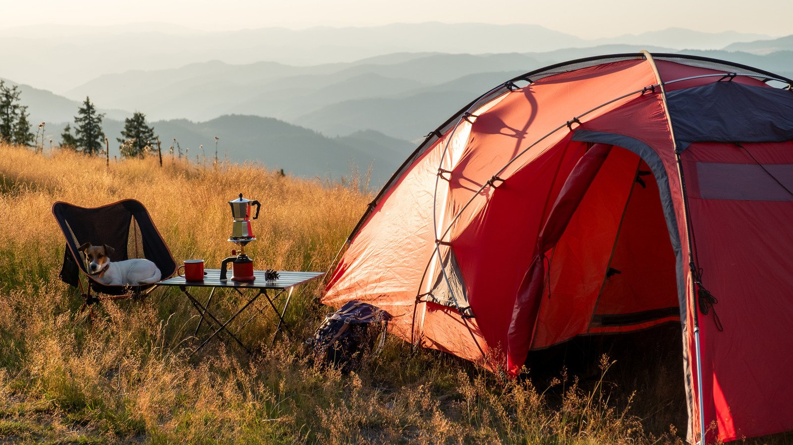8 Foldable Finds From Home Depot That Are Great For Camping Trips