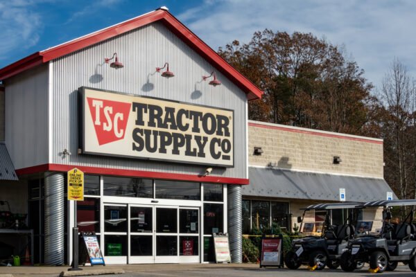 10 Practical Camping Gadgets Worth Buying From Tractor Supply