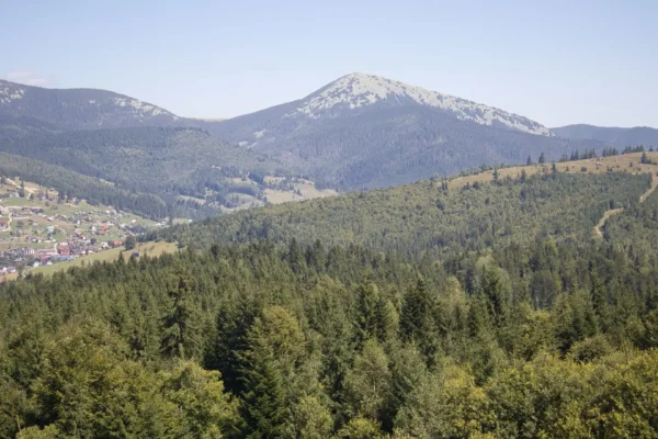 Why the UK’s Reset With Europe Must Involve Environmental Cooperation