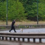 Police had aborted pursuit of car seconds before fatal crash that killed seven