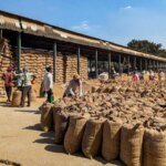 India Confident Rice Exports To Iran Will Weather US Sanctions