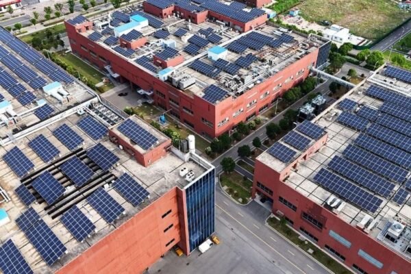 China's Ecological and Environmental Code: Milestone Value and Global Contributions