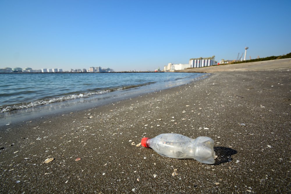Harmful plastic additives may be introduced into marine environments through microplastics