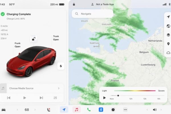 Should Tesla Introduce UI Themes?