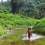 UN urges India to suspend controversial Great Nicobar mega-project